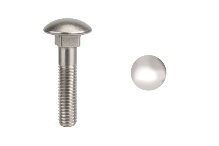 Close-up of a carriage bolt with square neck